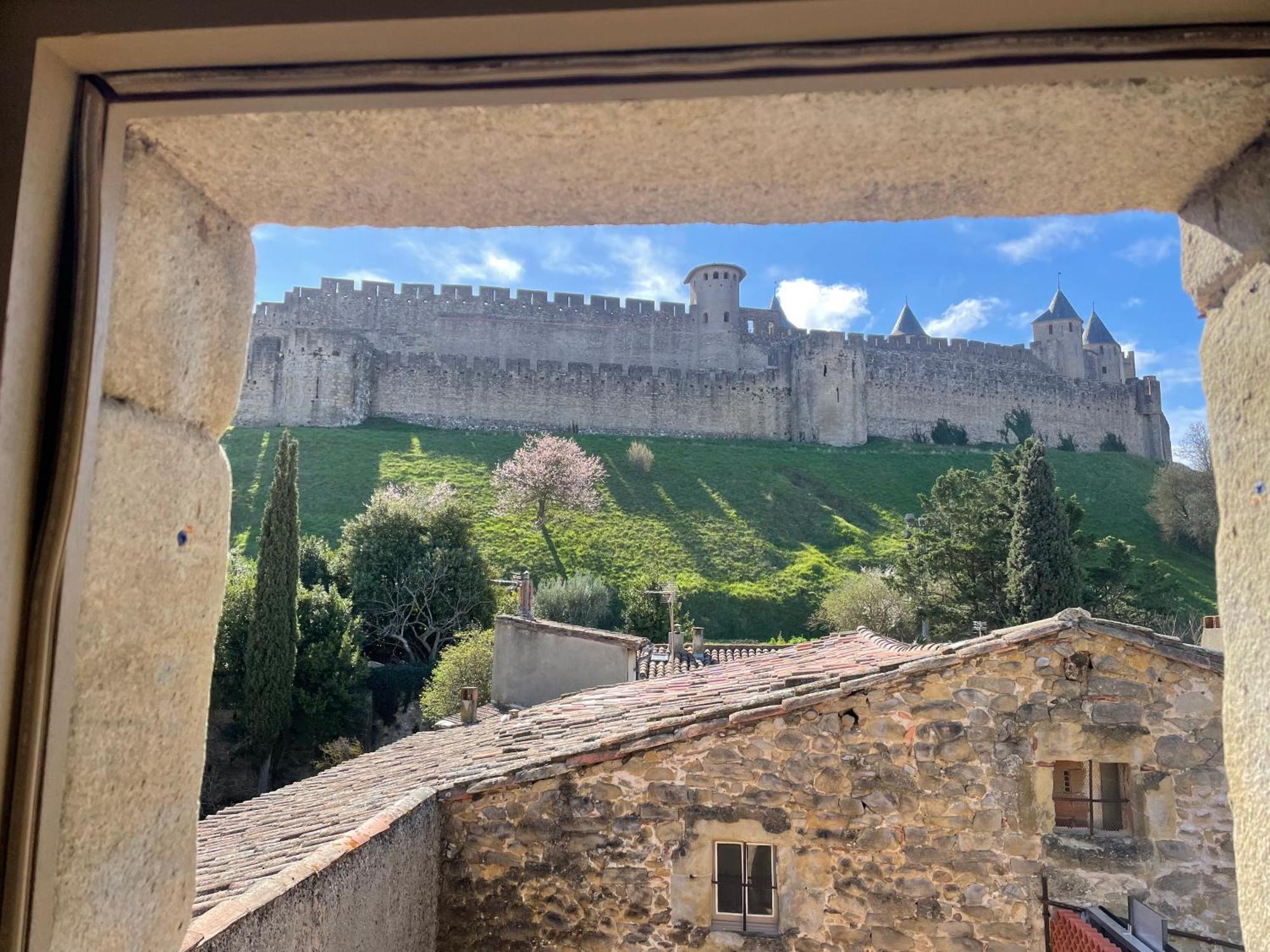 Pelletier Du Claux Apartment Carcassonne Ngoại thất bức ảnh